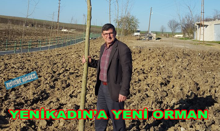 Köyümüz Ormanına Fidan Dikildi