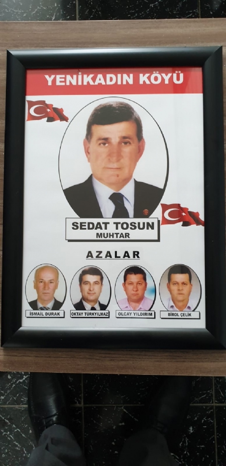 Azalar